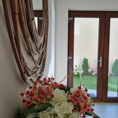 Mrv Pensión Constanţa